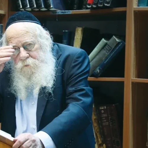 Adin Steinsaltz